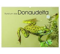 Rund um das Donaudelta (Wandkalender 2026 DIN A2 quer), CALVENDO Monatskalender: Natur, Tiere und Impressionen aus dem Donaudelta.