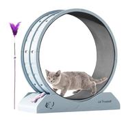 Running Wheel For Cats, Exercise Wheel For Cats, Fitness Equipment For Kitten | Anti-Falling Treadmill Running Fitness Workout Wheels For Indoor Cats