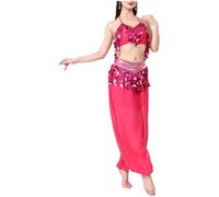 RUNQHUI - Vestido de baile oriental para mujer, traje de danza del vientre, sujetador con flecos, espectáculo, rosa brillante, talla única