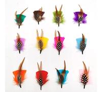 runrayay 12 Piezas de Plumas para Sombreros de Fieltro Plumas de Colores Reales para DIY Artesanía, Decoraciones de Navidad Hombres Mujeres