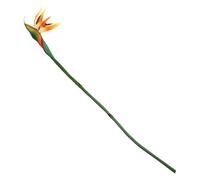 RUNROTOO Flor Necesidad de Riego Naranja Tacto Real de Plástico del Paraíso Artificial para Decoración de Interiores y Exteriores