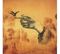 Rusted Root - Welcome to My Party