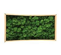 RUSTOO Musgo Decorativo, Musgo Natural preservado, Musgo Decorativo preservado, Musgo Natural Duradero preservado para la fabricación de Modelos de decoración del hogar