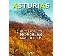 Rutas por los bosques más bellos: 3 (Asturias)