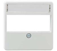 Rutenbeck 13910002 - Placa central 3 salidas rj45 ventana rótulacion blanco marfil