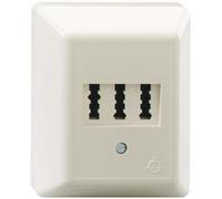 Rutenbeck 16110119 - Toma ams 1/2 nfu placa central montaje superficie marfil