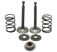 RUURUU Kit de sello de resorte de retención de válvula de admisión y escape para motores Honda GX160 GX200