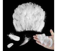 Ruvan 300 plumas para manualidades, plumas naturales para manualidades, decoración de plumas indias, atrapasueños, disfraces, manualidades, decoración de boda, Halloween, carnaval (blanco)
