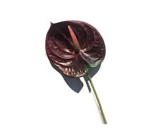 RUWLFE 10pc Artificial Flower Anthurium Plants Fake For Arrangement Material Valentine's Day Wedding Home Decor Photo Props para Inicio(Color 4)