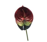 RUWLFE 10pc Artificial Flower Anthurium Plants Fake For Arrangement Material Valentine's Day Wedding Home Decor Photo Props para Inicio(Color 5)