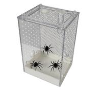 Ruwshuuk Tarántula terrario - Caja de observación transparente para escarabajos | Hábitat de cría desmontable para mantis religiosa escorpión hormiga cucaracha casa lecciones
