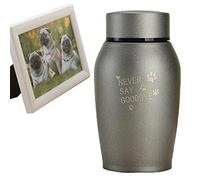 Ruwshuuk Urna Conmemorativa para Cenizas de Mascotas, pequeña urna de Recuerdo de Aluminio de Acero Inoxidable, urna funeraria Personal para Compartir Metal, para Gatos, Perros Cenizas humanas