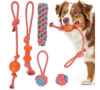 RUXAN Juguetes para Perros, Hechos de algodón Natural para Perros, Desarrollo de Inteligencia, Adecuado para Perros medianos y pequeños, Diferentes Pelotas para Perros, Juguetes para Cachorros, Juego