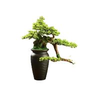 ruyi-1986 Bonsái Artificial Bonsái Artificial de Suelo for decoración Entrada Hotel, Club, Plantas Falsas en Maceta