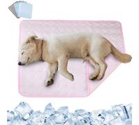 RUYICZB Alfombra Refrescante para Perros Gatos, Mascotas Alfombrilla Autoenfriante, Almohadillas De Hielo No Tóxicas, Cama Fría Esterilla para Gatos Cachorros Verano,Rosado,19.7x15.7in
