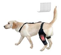RUYICZB Férulas para Patas Traseras De Perro, Rodilleras para Perros con Ligamento Cruzado Anterior Desgarrado Y Estabilizador para Patas Traseras, Soporte para Rótula, Dislocación De Rótula,L