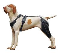 RUYICZB Rodillera para Perro para Pierna Trasera Desgarrada, Rótula Luxante, Artritis, Rodillera De Perro con Férula De Metal con Soporte con Bisagras para CCL, Rodillera De Perro,L