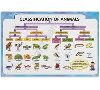 RVBLRDSE Animal Kingdom Chart Vertebrate and Invertebrate Classification Biology Canvas Wall-Art for Home Office Library(Framed,12x18inch(30x45cm))