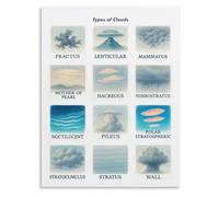 RVBLRDSE Cloud Types Chart Poster Identification Guide Educational Weather Visual Aid for Childrens Room Decor(Unframed,12x18inch(30x45cm))