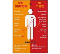 RVBLRDSE Heat Related Illness Poster Signs of Heat Stroke Exhaustion Wall Hanging(Framed,08x12inch(20x30cm))