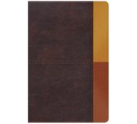 RVR 1960 Biblia de Estudio Arco Iris, gris pizarra/oliva sím: Reina-Valera 1960, Cocoa/Terracota Símil Piel Leather