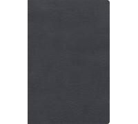 Rvr 1960 Biblia de Estudio Letra Gigante, Gris, Símil Piel Con Índice