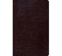 RVR 1960 Biblia de Estudio Scofield Tamano Personal, chocolate oscuro simil piel: Reina-Valera 1960, Chocolate, Simil Piel, Tamano Personal / ... Dark Brown, Imitation Leather, Personal Size