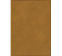 RVR 1960 Biblia ilustrada de la Tierra Santa, café símil pie: Rvr 1960 Biblia Ilustrada De La Tierra Santa, Café Símil Piel