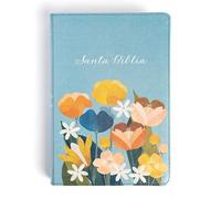 Rvr 1960 Biblia Letra Grande Tamaño Manual Edición Especial, Aqua, Símil Piel