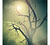 Rwake – Rest – Vinilo LP MINT & SWAMP GREEN MERGE/SPLATTER – Importación USA
