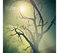 Rwake Rest (MINT & SWAMP GREEN MERGE/SPLATTER LP) (Vinyl) (Importación USA)