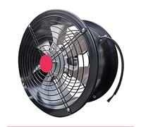 RWSXY Ventilador de ventilación de conducto de 8/10/12 Pulgadas, Ventilador de Alta Velocidad, Extractor de Pared de Flujo axial, Extractor de Humos Potente de Metal.