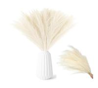 RXKFIGX 30pcs Hierba de la Pampa, Hierba Artificial 55cm, Deco Pampasgra y Flores Secas