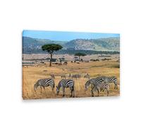 RXNHGJDS Cuadros Decoracion Salon Modernos,Una manada de cebras en la sabana africana,lienzos de cebra rayas fauna safari Cuadro Sobre lienzos para pintar grandes 42x30cm Marco interior