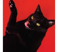 Ryan Adams Big Colors (Vinyl) (Importación USA)