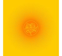 Ryan Adams Easy Tiger (Vinyl) (Importación USA)