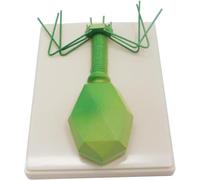 Ryanong Modelo anatómico de virus de fago, modelo bacteriano de fagos biológicos, modelos médicos y materiales educativos, para ayudas de enseñanza de biología de escuela secundaria, instrumentos de