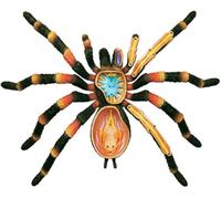 Ryanong Modelo de anatomía de araña desmontable, modelo de anatomía animal, 33 piezas extraíbles, adecuado para entrenamiento veterinario, demostración profesional médica.