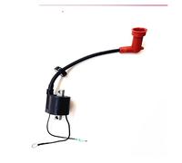 Rynplex Bobina de encendido B for motor de barco, for Parsun, HDX 2 tiempos 40CV T40 T40BM T40BW T40G T30BM 2 tiempos G tipo verde T40-05090102 Interruptor de encendido del motor marino