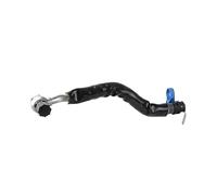 Rynplex For Peugeot, for Citroen 1343K4 9805975380 Manguera de agua refrigerante del turbocompresor 1.6T Manguera de radiador