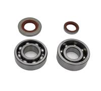 Rynplex Juego de sellos de aceite con rodamiento de bolas, for STIHL MS660 MS 066, repuestos de motosierra de gasolina for jardín 96400031850 95030036676 Kit de cojinetes de cigüeñal para motosierra