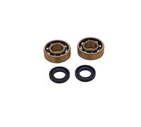 Rynplex Sellos de aceite de rodamiento de bolas de cigüeñal, for piezas de motosierra Stihl, MS250 MS230 MS210 MS 250 230 210 025 023 021 Kit de cojinetes de cigüeñal para motosierra