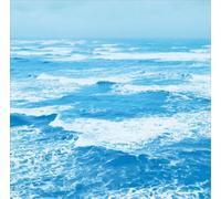 Ryo Fukui A Letter from Slowboat (CD) Album (Importación USA)