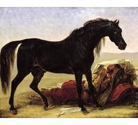 RZHRHJES Clásicas Poster Pintura Impresión Pintura de Lienzo Nórdico un caballo árabe de Antoine Jean Gros para la Decoración del Hogar del Dormitorio 60x90cm