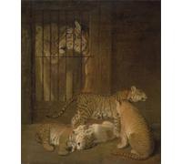 RZHRHJES Cuadro Sobre Lienzo Impresión en Lienzo Cuadro de pared Grupo de cachorros criados entre un animal y una tigresa de Jacques Laurent Agasse para Decoraciones del Hogar 60x90cm