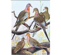 RZHRHJES Decorativos Cuadro en Lienzo Clásicas Poster Cuadro Pintura Paloma mensajera Mañana oriental de Louis Agassiz Fuertes para Decoraciones del Hogar 60x90cm