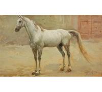 RZHRHJES Natural Pintura Cuadro Cuadro en Lienzo Impresión Pintura Sangre pura de Forti para la Decoración del Hogar del Dormitorio 60x90cm