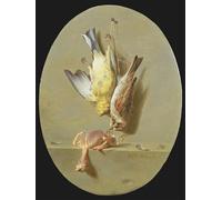 RZHRHJES Natural Pintura Cuadro Cuadro en Lienzo Impresión Pintura Trompe L'oeil de Dead Songbirds de Jean Bidauld para la Decoración del Hogar del Dormitorio 60x90cm