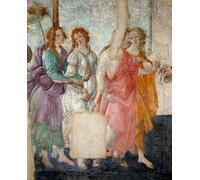 RZHRHJES Pintura Impresión Venus y las Gracias Ofreciendo Regalos a una Detalle Representando las Gracias. por Sandro Botticelli para la Decoración del Hogar del Dormitorio 60x90cm