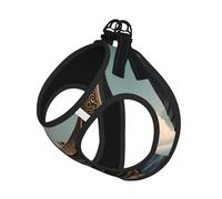 S - Chaleco y arnés para perro - Juego de correa con estampado de barco vikingo antiguo de tamaño pequeño con hebilla, compañero canino para viajes al aire libre